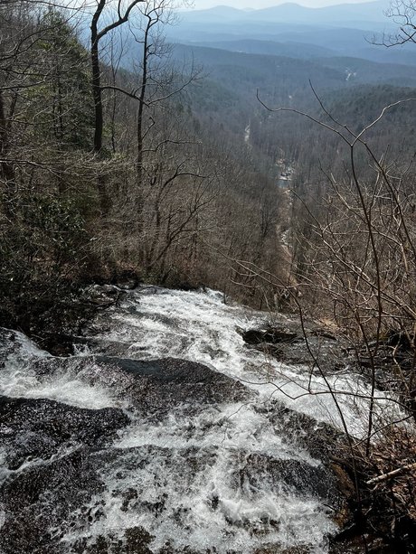 PeachStateBears nude leaks onlyfans