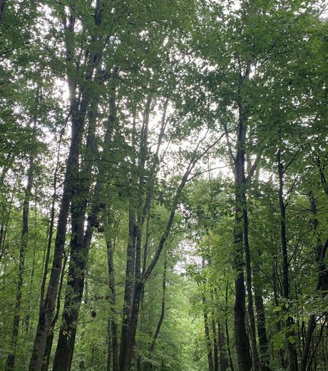 Anon Top onlyfans leakd