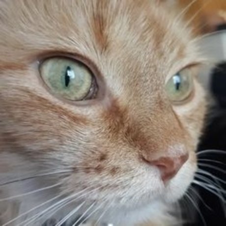 big tits teen onlyfans hot xxx snap