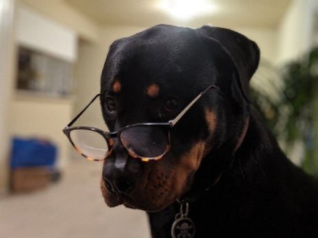 Daddy Sim_ leak only fans