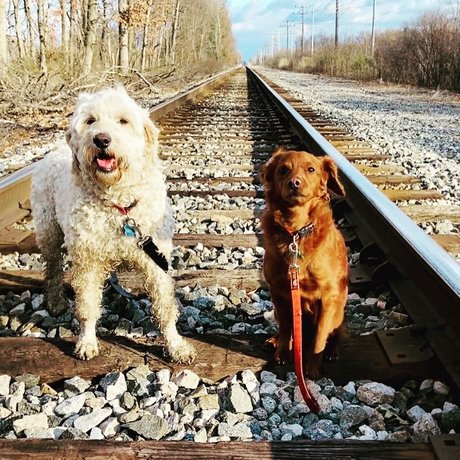 Cougarmeat nude leaks onlyfans