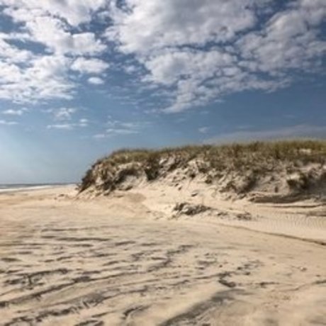 beach bum 102019 porn onlyfans