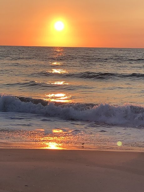 beach bum 102019 onlyfans archive