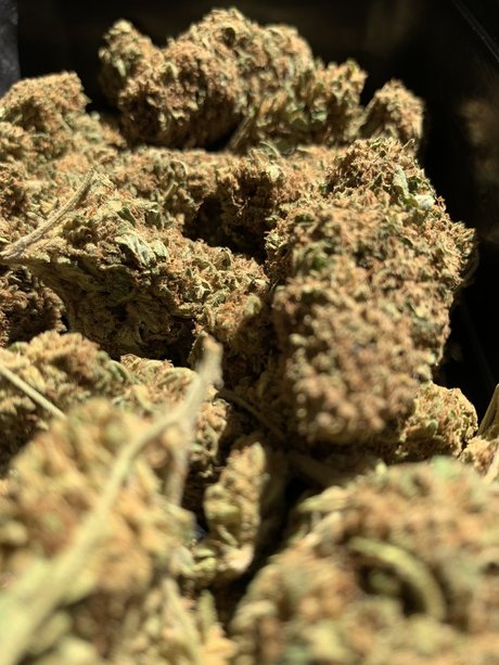 DaddyWood leaked onlyfans nudes