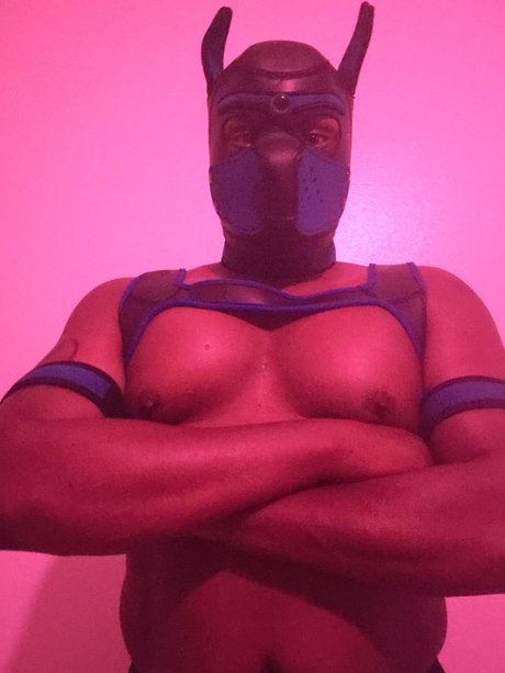 Shadow Pup naked onlyfans pics