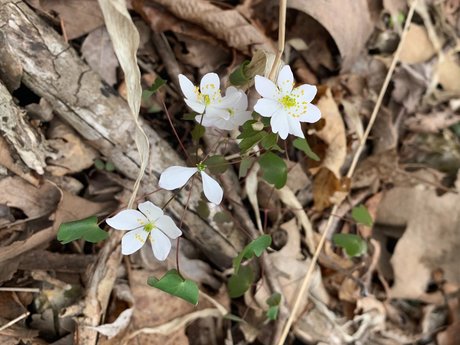 Plow onlyfans leaked naked