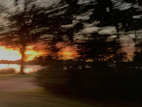 han burger sex tape onlyfans