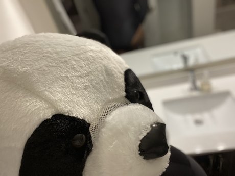 PlayBear onlyfans sex