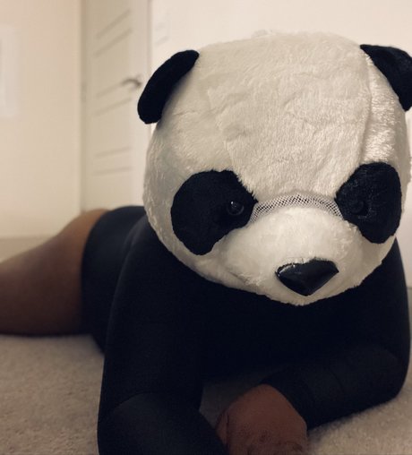 PlayBear onlyfans nudes