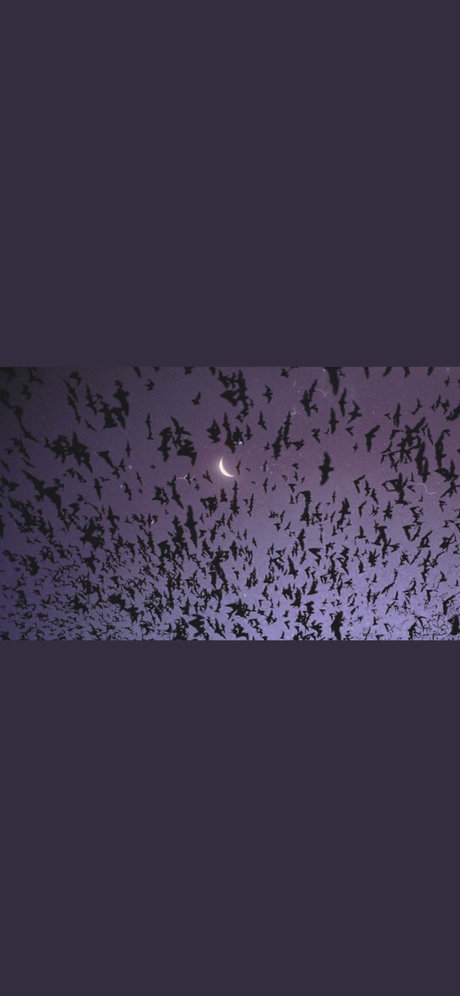 Lilith Faye only fans nudes