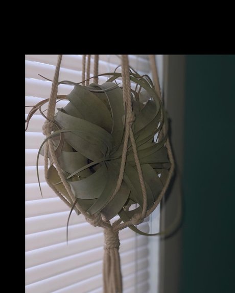 _Lauren leak onlyfans