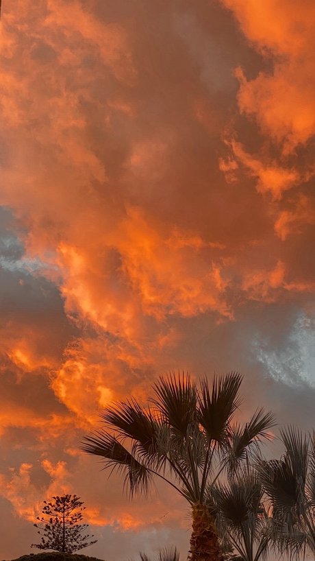 Daniele Patern_ leaked onlyfans.