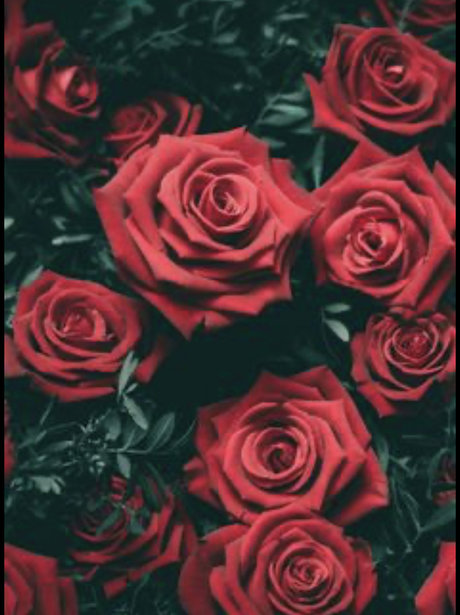 Monae Leigh onlyfans model images