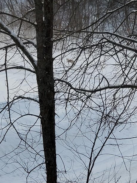 Couple6225 onlyfans model photo