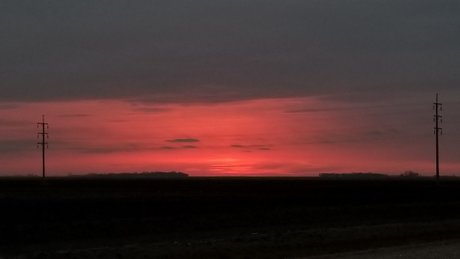 Willow The Bull leaked porn onlyfans