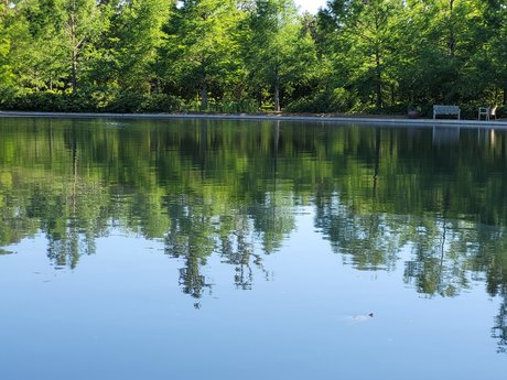 Por Amor leaked onlyfans sextape