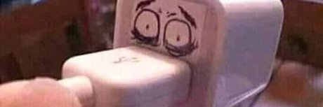 Poly Tacos only fans xxx