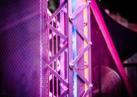 Polar Bear nude leaks onlyfans