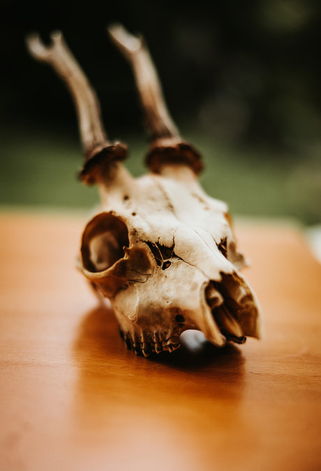 PogoFrogPicx onlyfans fuck