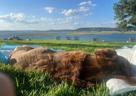 mary a b leaked onlyfans porn