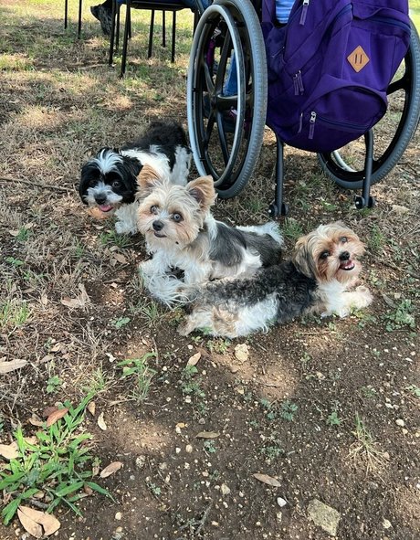 mary a b onlyfans photo