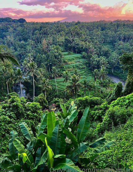 Megan Milan free onlyfans