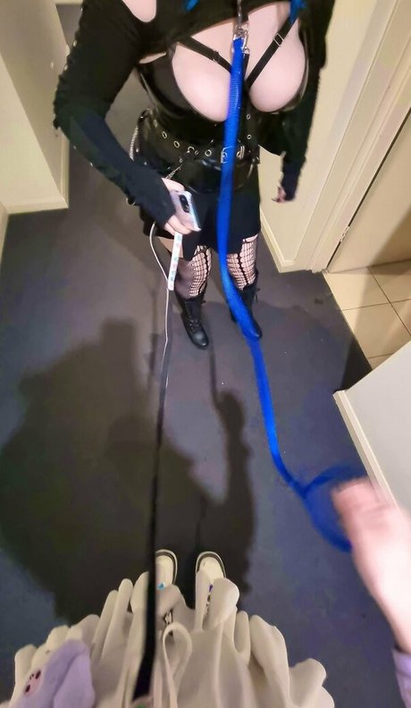 Will o wisps Profile pic