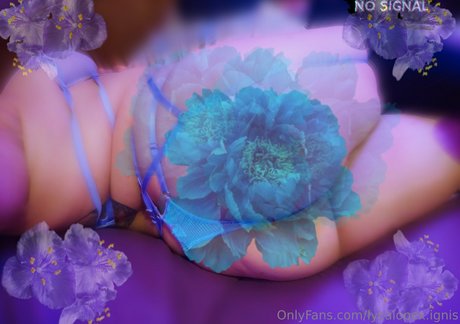 lycalopex ignis leaked onlyfans pics