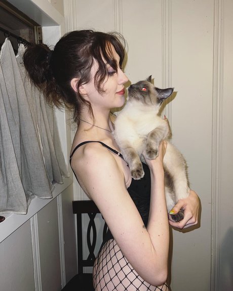 gray onlyfans archive