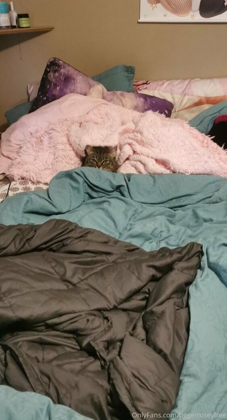 tiggerroseyfree fans only