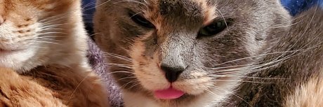 PrincessMaddieMaddz onlyfans joi