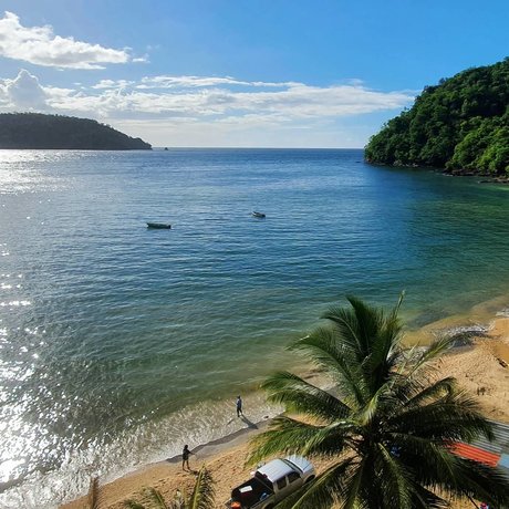 That Crypto Fella onlyfans model