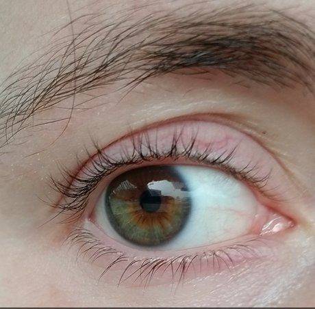 PrettyTransBoy onlyfans sex leak