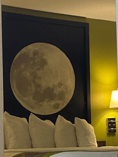 urlocalangel nude porn onlyfans