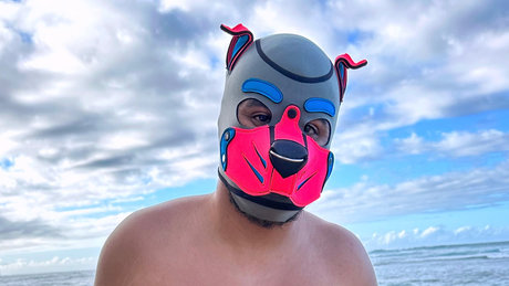 Pup Bellagio new onlyfans leaks
