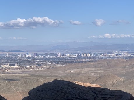 Pup Arlo onlyfans leaked sex