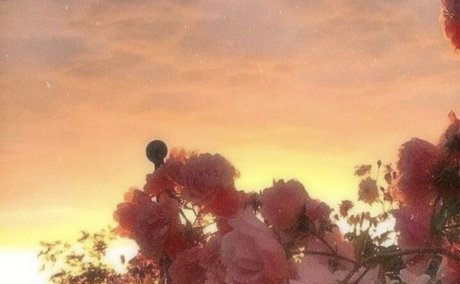 helloooo_ topless onlyfans