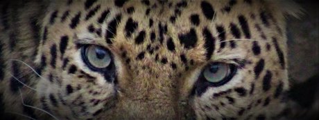 _Pumpkin Cream_ onlyfans joi