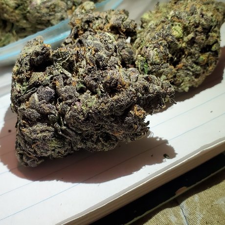 Crunchtyme Ent_ xxx onlyfans