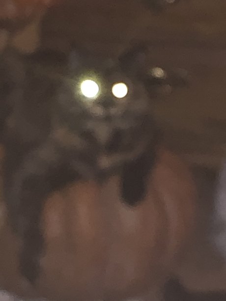 Monster EX onlyfans leak new