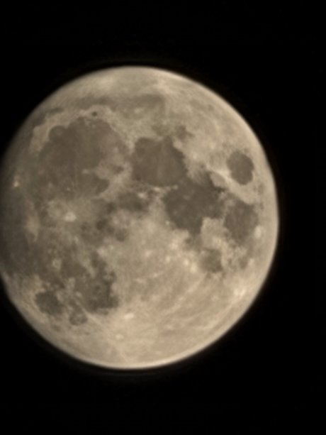 Prove it onlyfans leaked tits