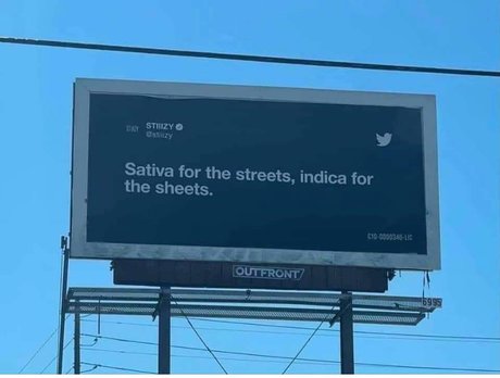 Prohibited onlyfans sex leaks