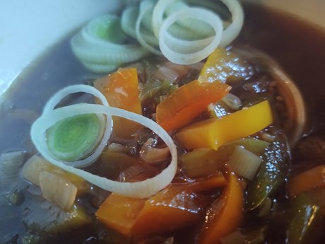 Sailace Rain onlyfans leaks nude