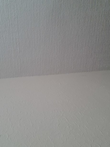 Spicy one onlyfans mega