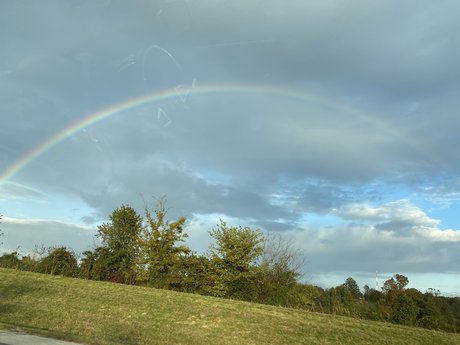 Scorpionbaby8 onlyfans creator