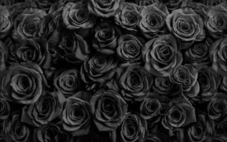 S C A R_ onlyfans leams