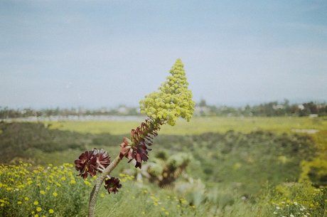 Hot Hen Woman onlyfans content leaked