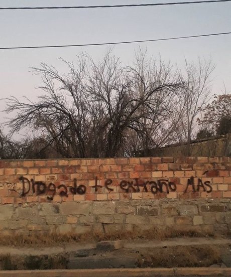 dnlxero new onlyfans leaks