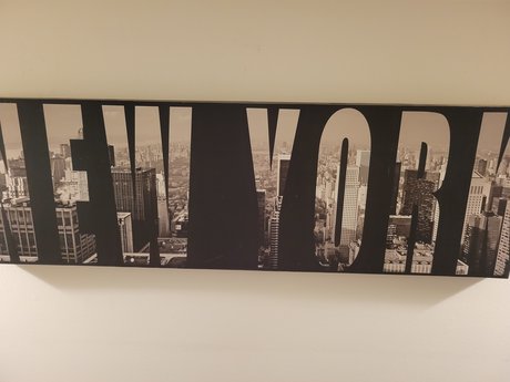 Shanell Turner free only fans