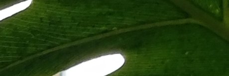 QuantumOrgasms onlyfans porn